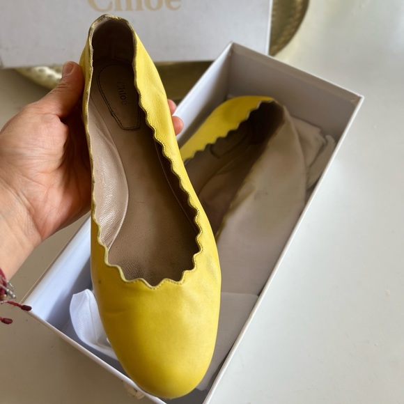 ☀️Chloe Lauren Ballerina Flats ☀️ - Picture 4 of 5